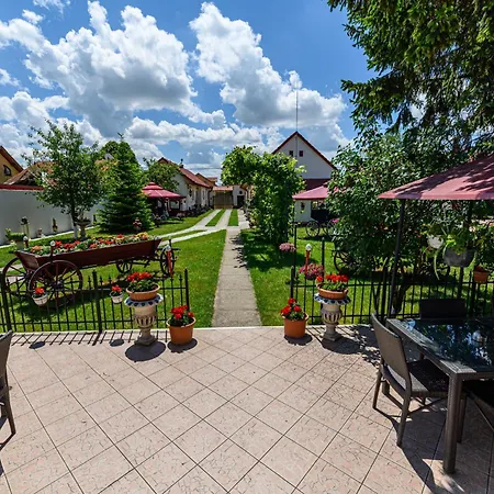 Pensiunea Roma Antica Guest house Harman